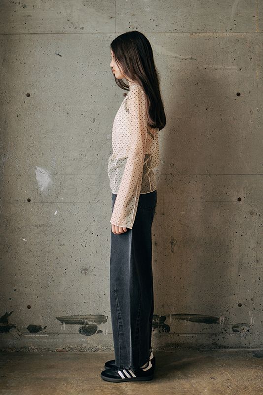 スタンドネック チュール ドット プルオーバー Beige