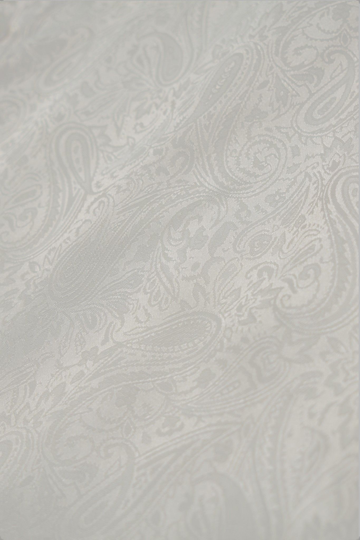 ペイズリー ジャガード レギュラー シャツ