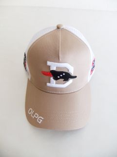 BIG D MESH CAP (ベージュ) ロゴ入りキャップ RSA-23006