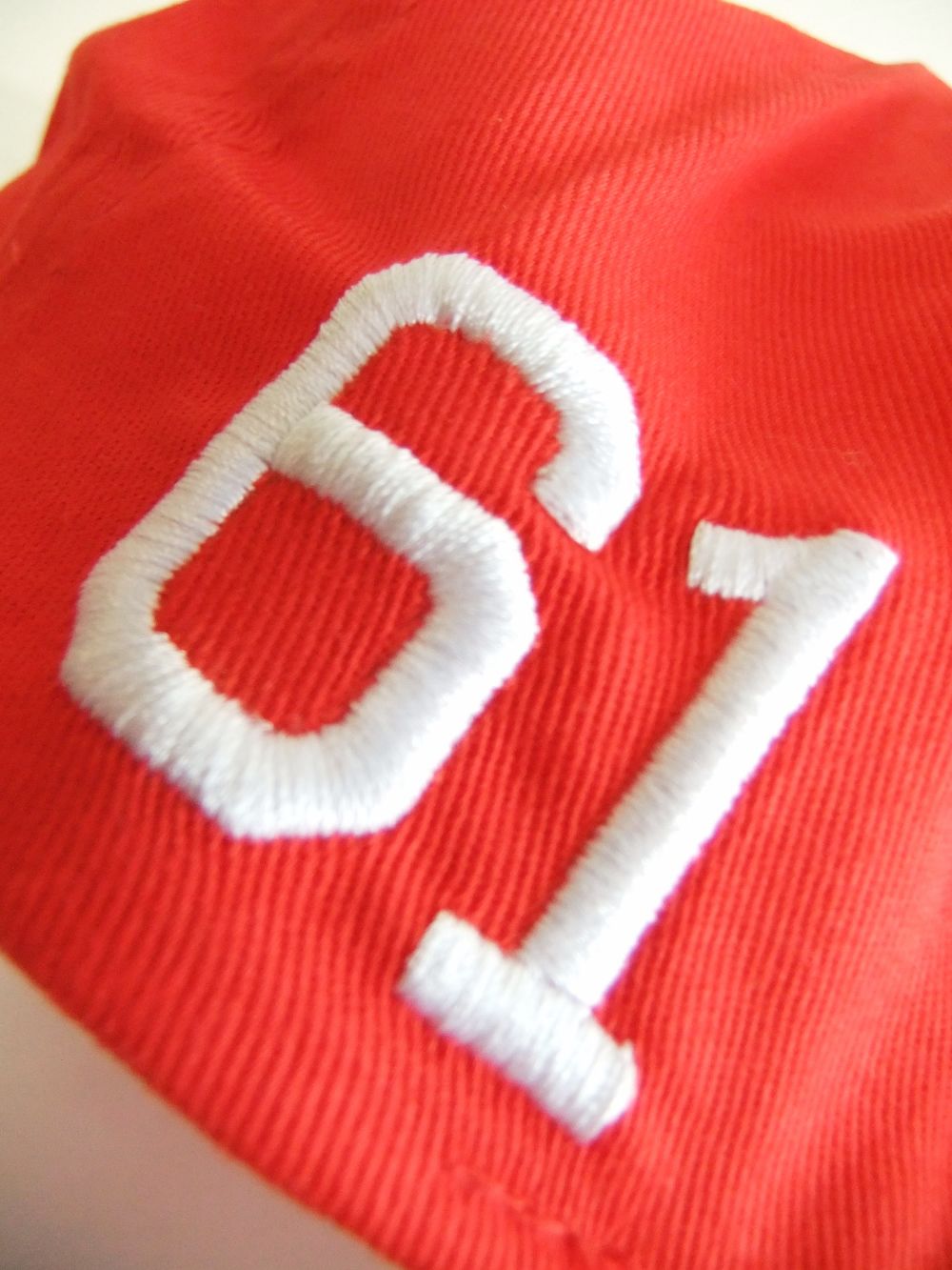 SIMPLE B.B. CAP  ( レッド )  ロゴ入りキャップ