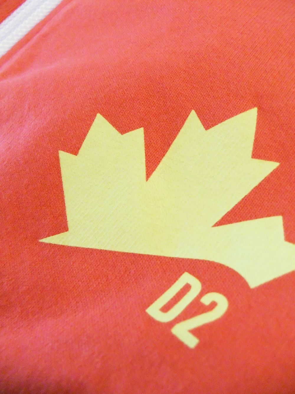 D2 LEAF HOODIE ロゴ スウェットZIPパーカー ( オレンジ )   S74HG0119