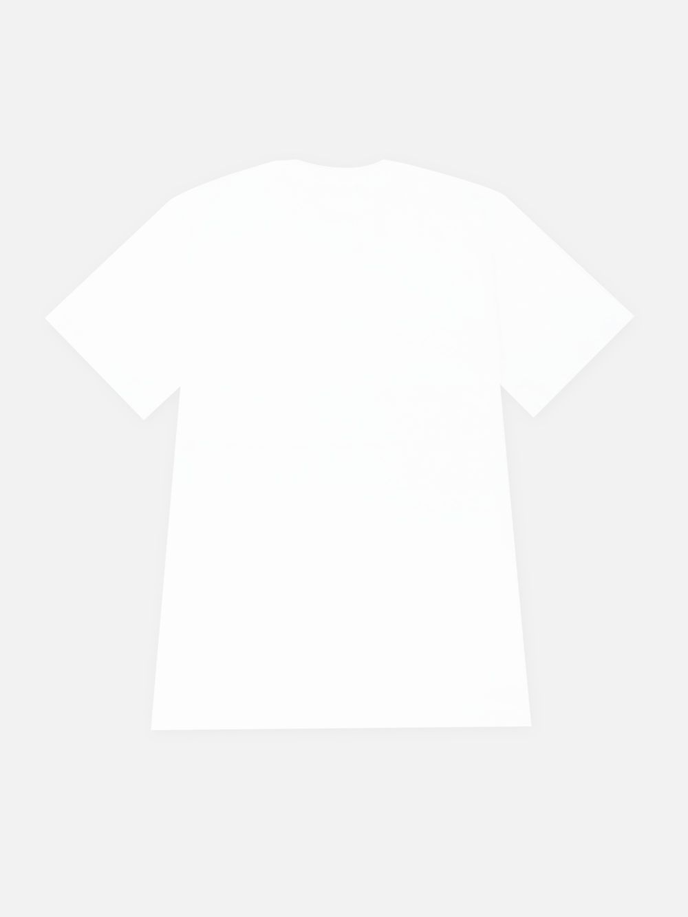 ブラッシュストローク ロゴTシャツ (ホワイト)   3240MM96-227298