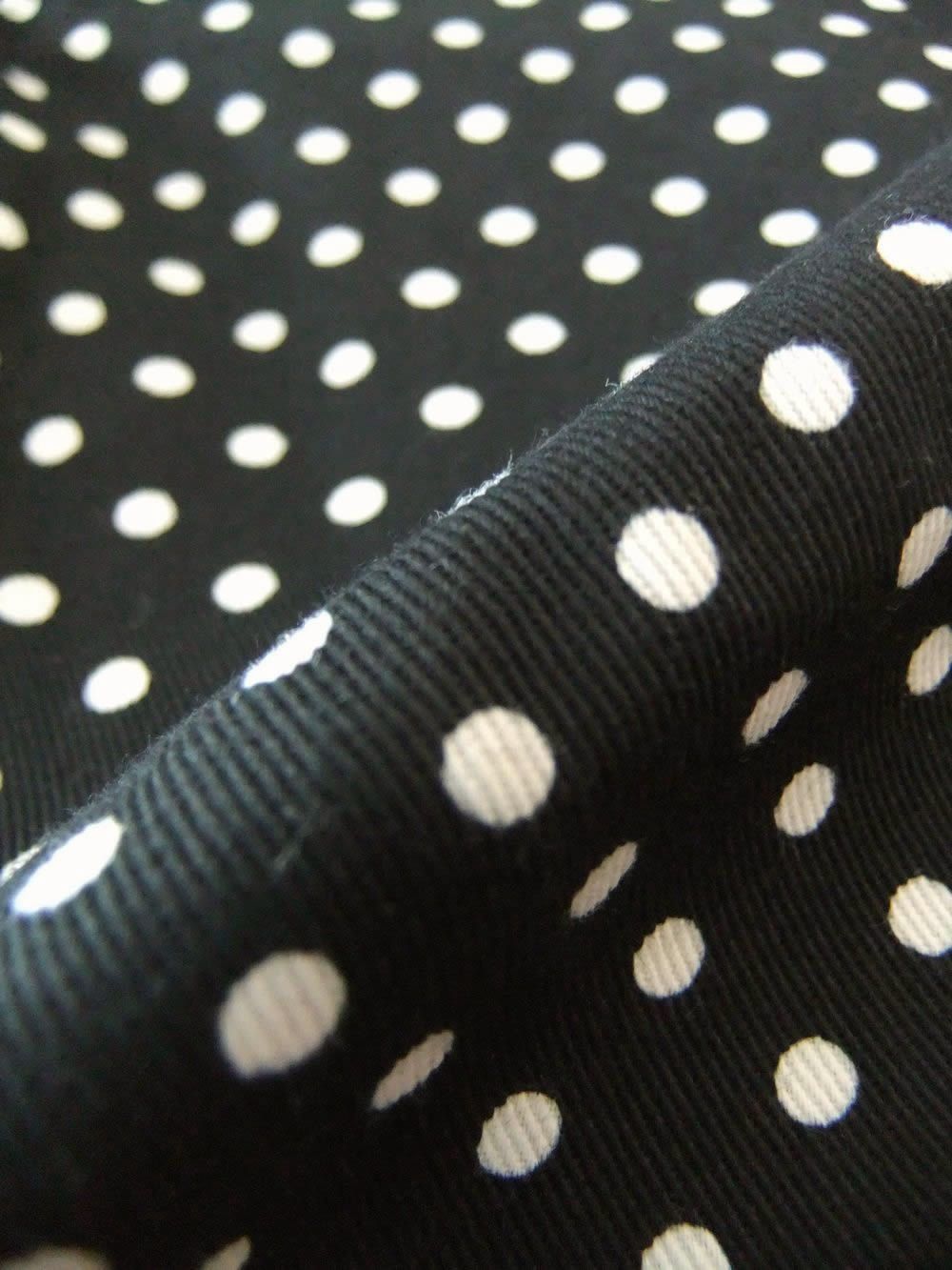 DOT CRAZY SHORTS    ドット柄 ペインターハーフパンツ   RSM-26070