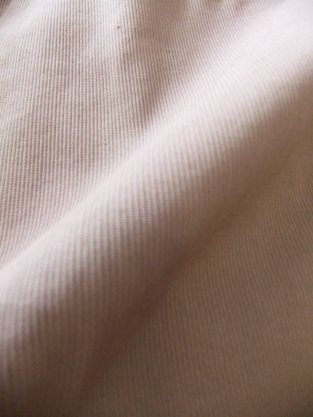 GAGA コットンストレッチ ワンプリーツ パンツ ( ピンクベージュ ) P218291