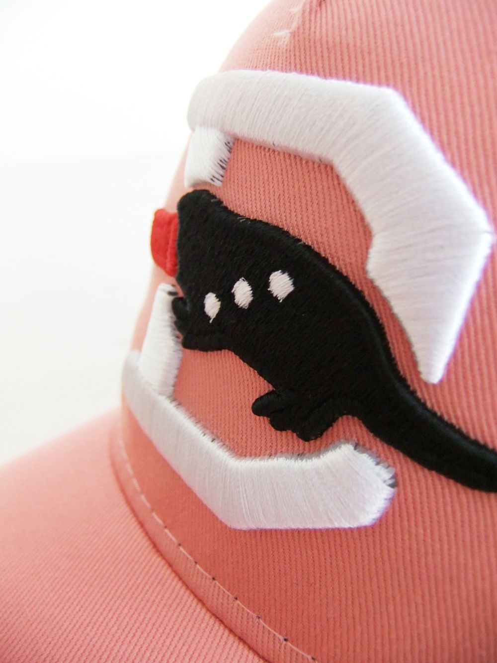 BIG D MESH CAP (ピンク) ロゴ入りキャップ RSA-23006