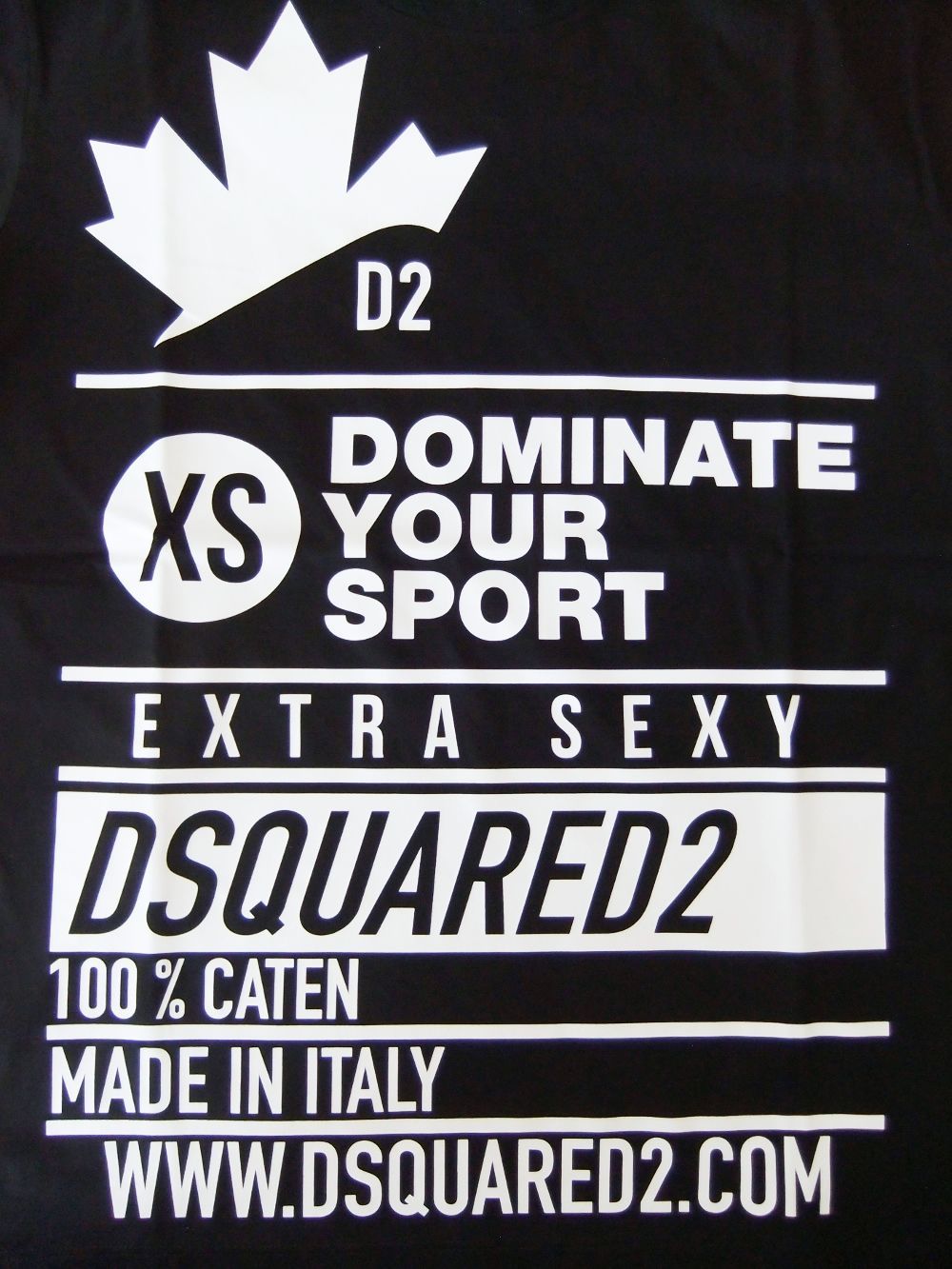 D2 LEAF SPORT ロゴプリント T-SHIRT   S74GD0824