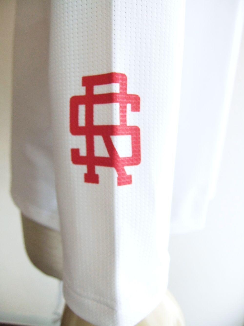 RS LOGO MOCK L.S  ( ホワイト )  モックネック 長袖ポロシャツ  RSM-21230