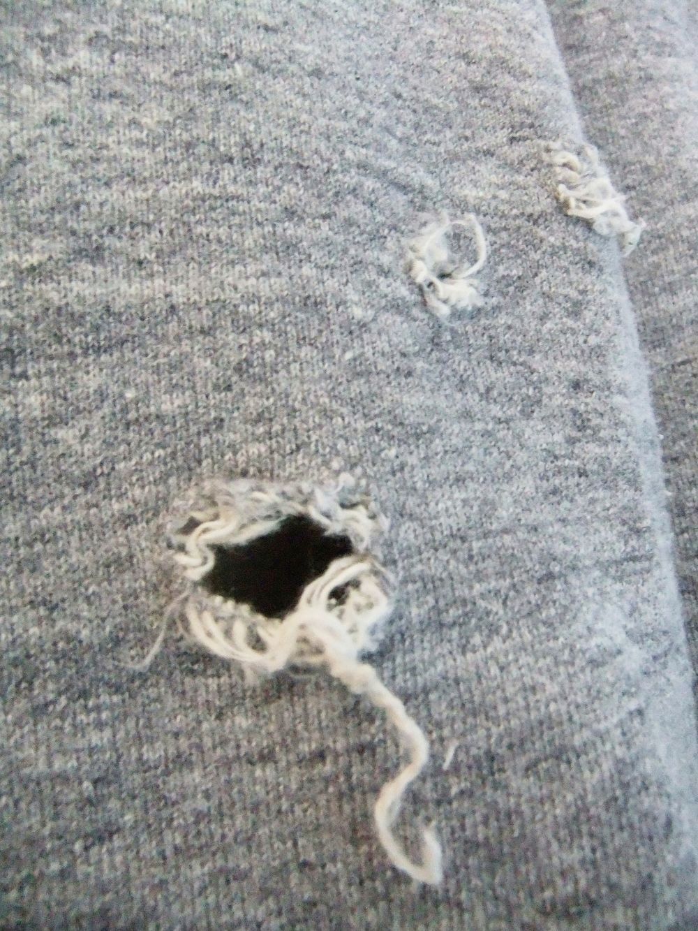 PHYS. ED. 64 HOODIE   ロゴ スウェット フーディ   S74GU0620