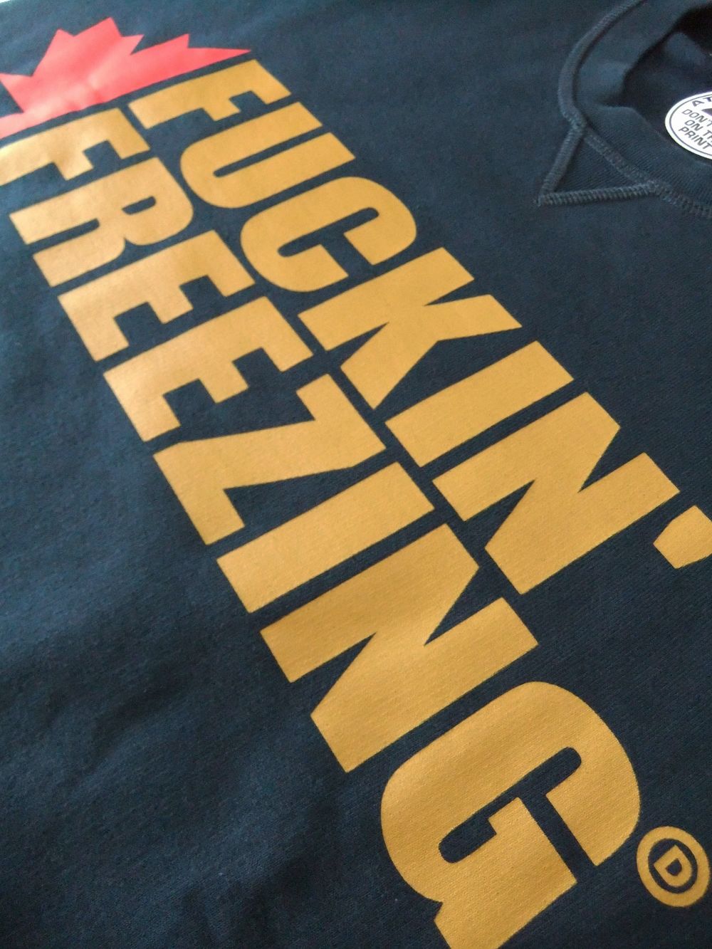 FUCKIN FREEZIN  スウェットプルオーバー   S79GU0007