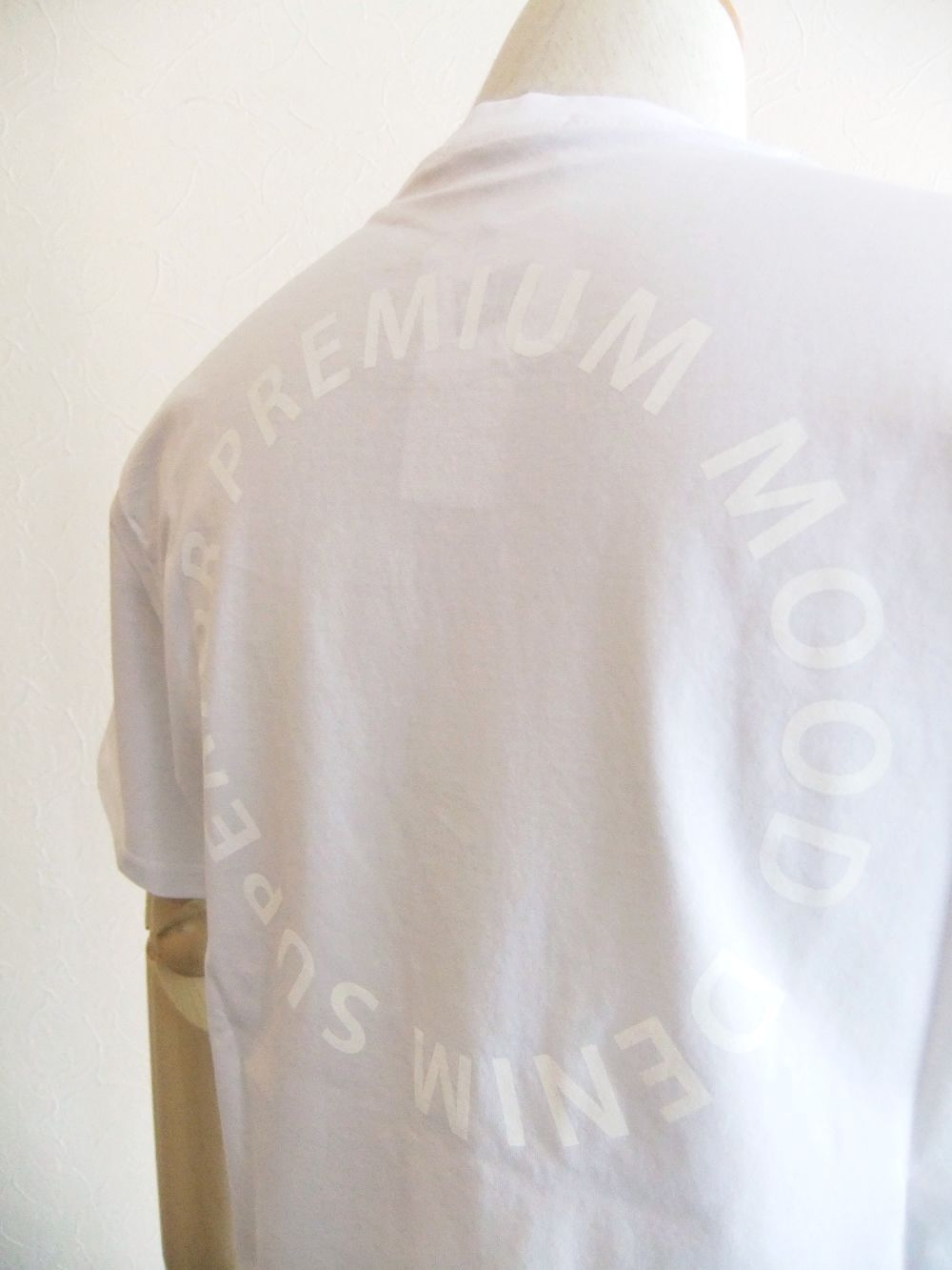 FANES   (ホワイト）  バックロゴ 半袖 Tシャツ