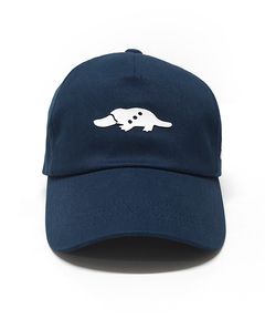 SOLID TOUR CAP (ネイビー)   ロゴ入りキャップ    RSA-25002