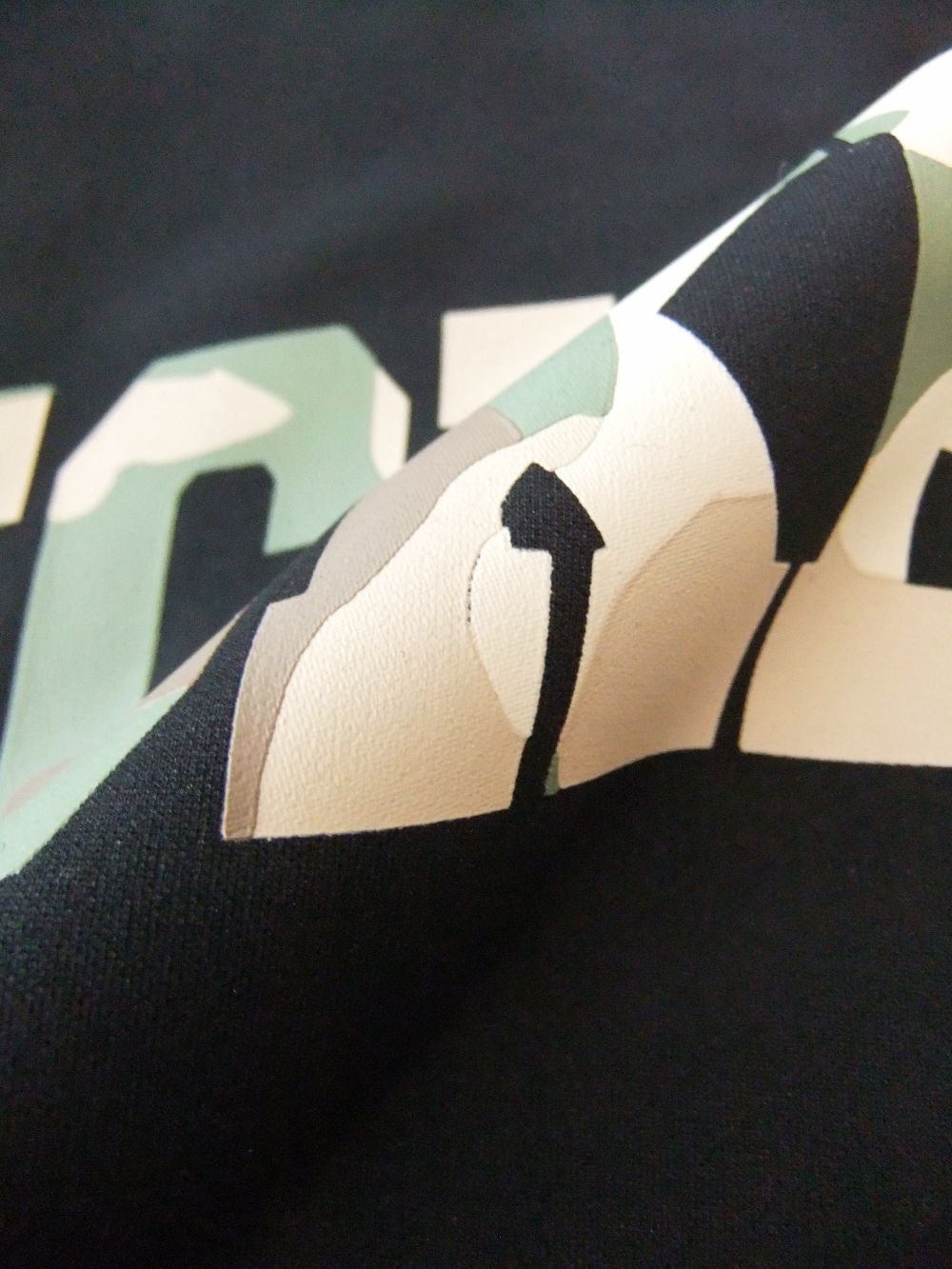 PANTHER SWEAT (ブラック) ロゴ裏起毛 スウェットシャツ  RSM-23206