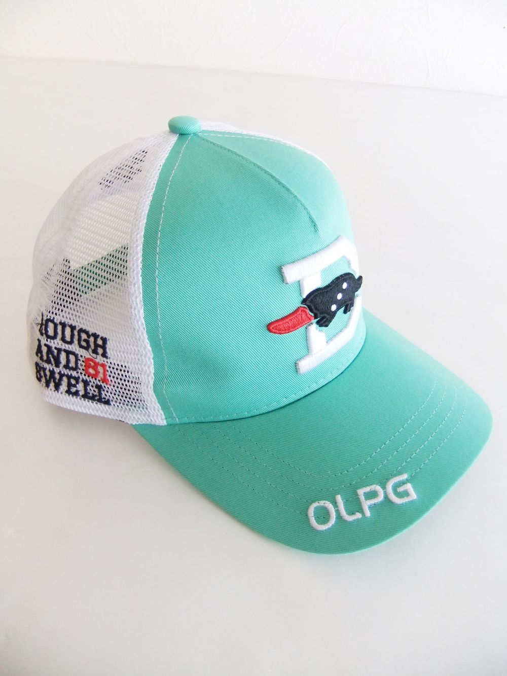 BIG D MESH CAP (グリーン) ロゴ入りキャップ RSA-23006