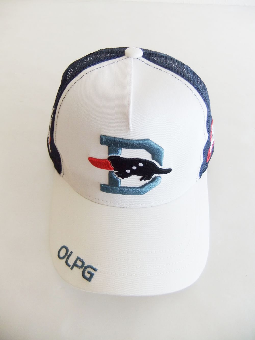 BIG D MESH CAP (ホワイト) ロゴ入りキャップ RSA-23006