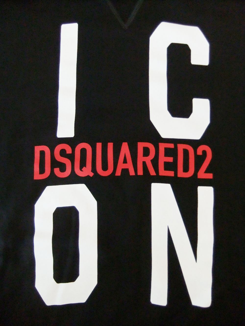 ICON HOODED SWEATSHIRT   スウェットプルオーバー   S79GU0034