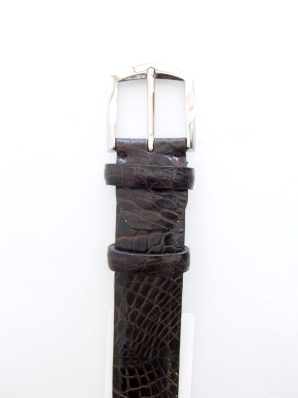 VACCARI - アリゲーター ALLIGATOR LEATHER BELT ( ダークブルー