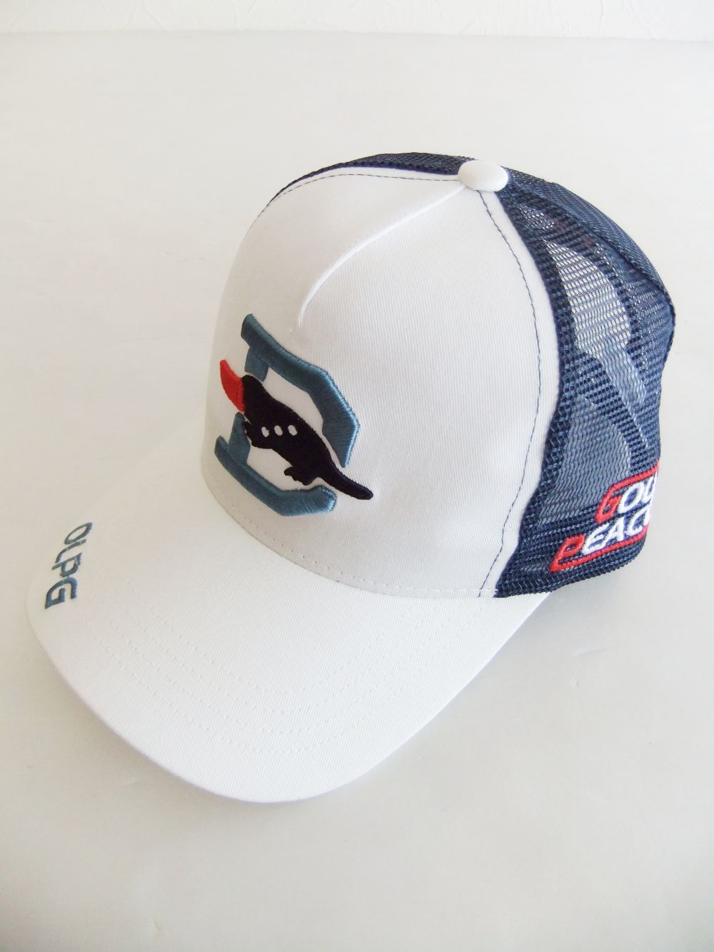 BIG D MESH CAP (ホワイト) ロゴ入りキャップ RSA-23006