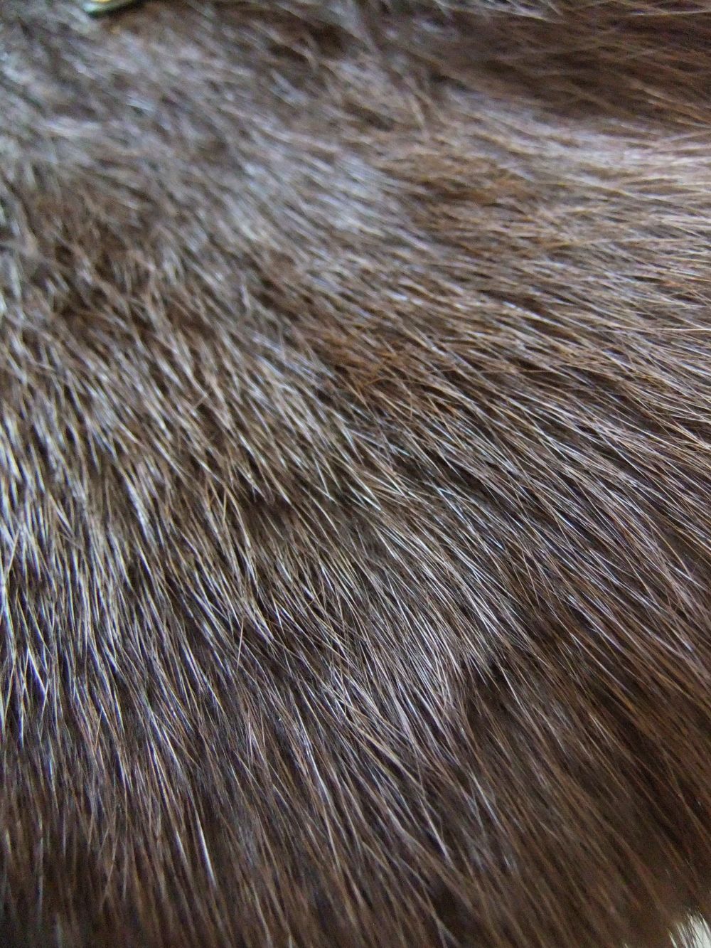 WEASEL  リアル フィッチファー ショルダーバッグ   V-8829
