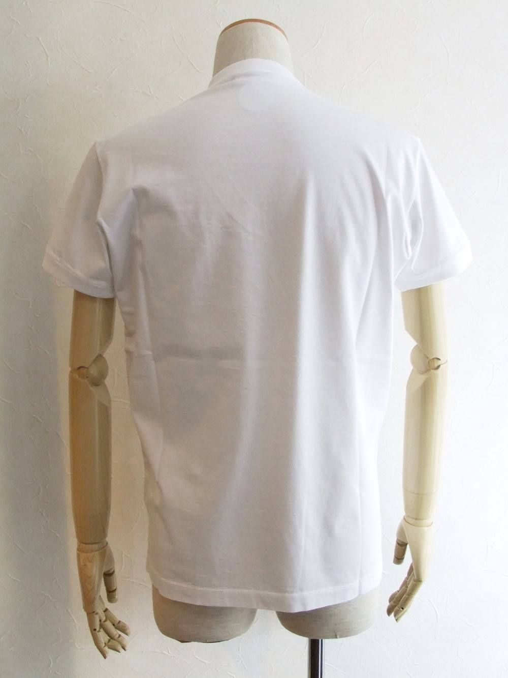 DYED CHIC DAN FIT V-NECK