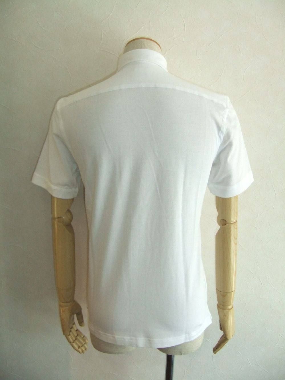 BD H/S POLO
