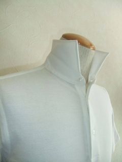ワイドカラーH/S POLO