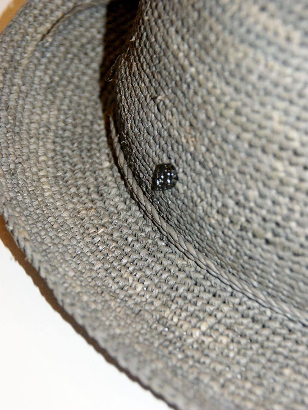 ABAKA(アバカ)