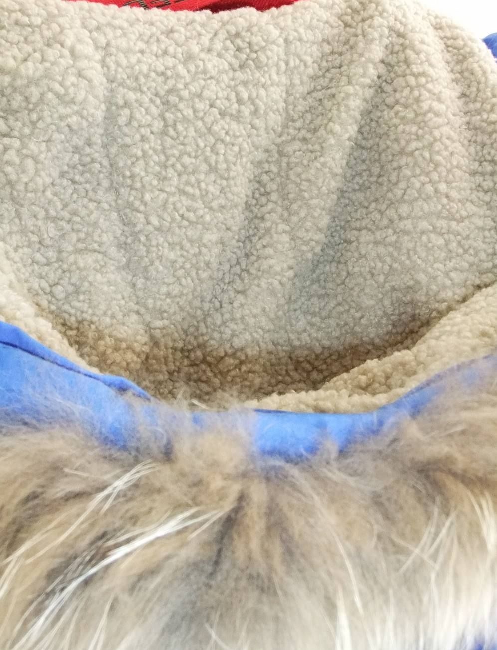 RACCON FUR REAL DOWN JACKET ダウンジャケット