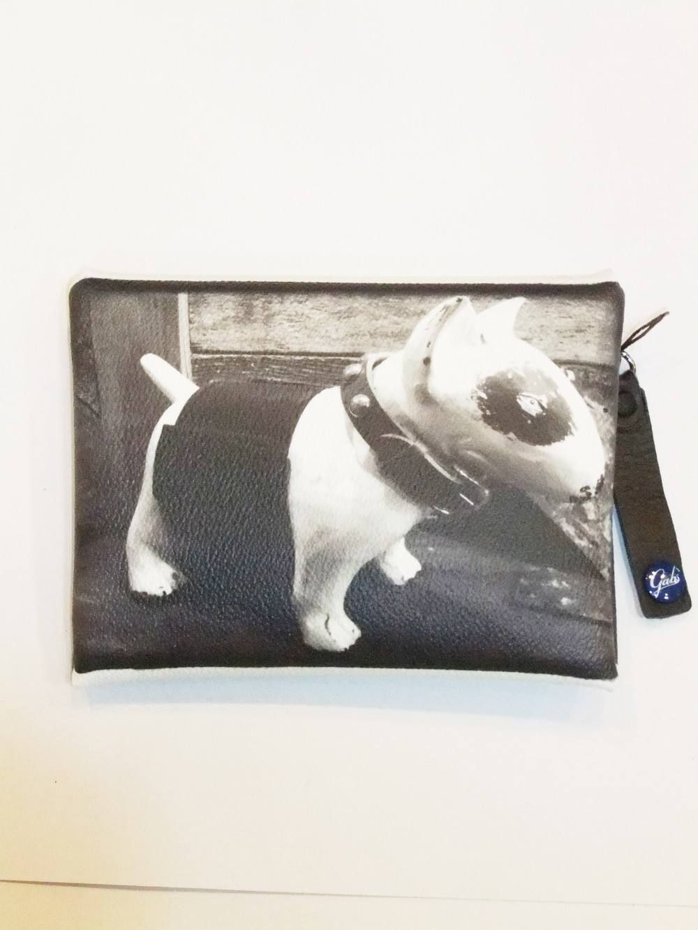 POUCH DR PACKET (Dog)