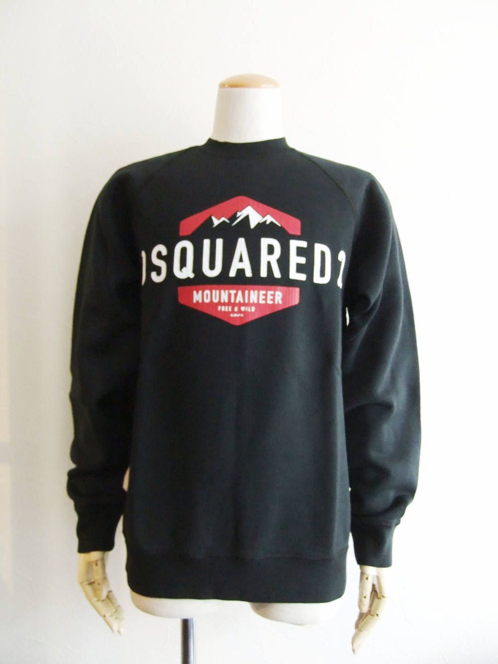 Dsquared2 - 製品洗い+ロゴプリント スウェットプルオーバー 74GU0208