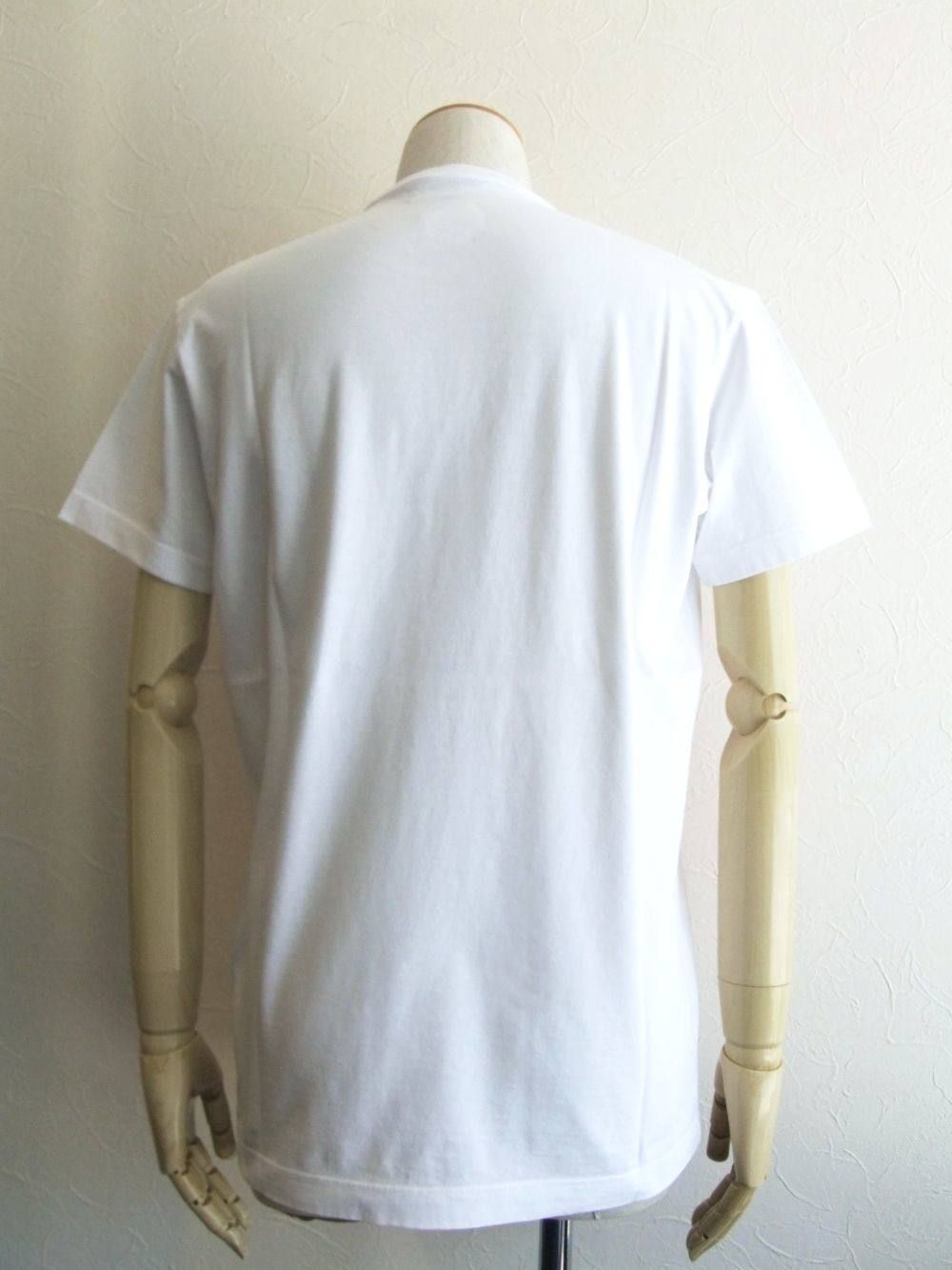 D2 LIPプリント T-SHIRT Dyed  Cool Fit  S74GD0476