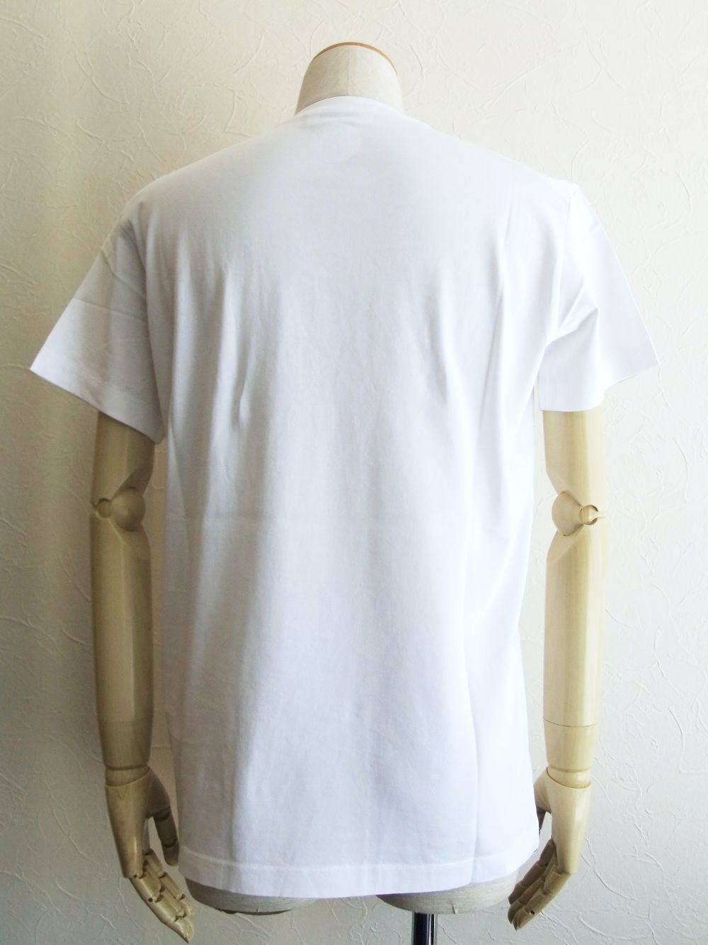 D2 TEPEプリント T-SHIRT Cotton Jersey Cool Fit   S74GD0484