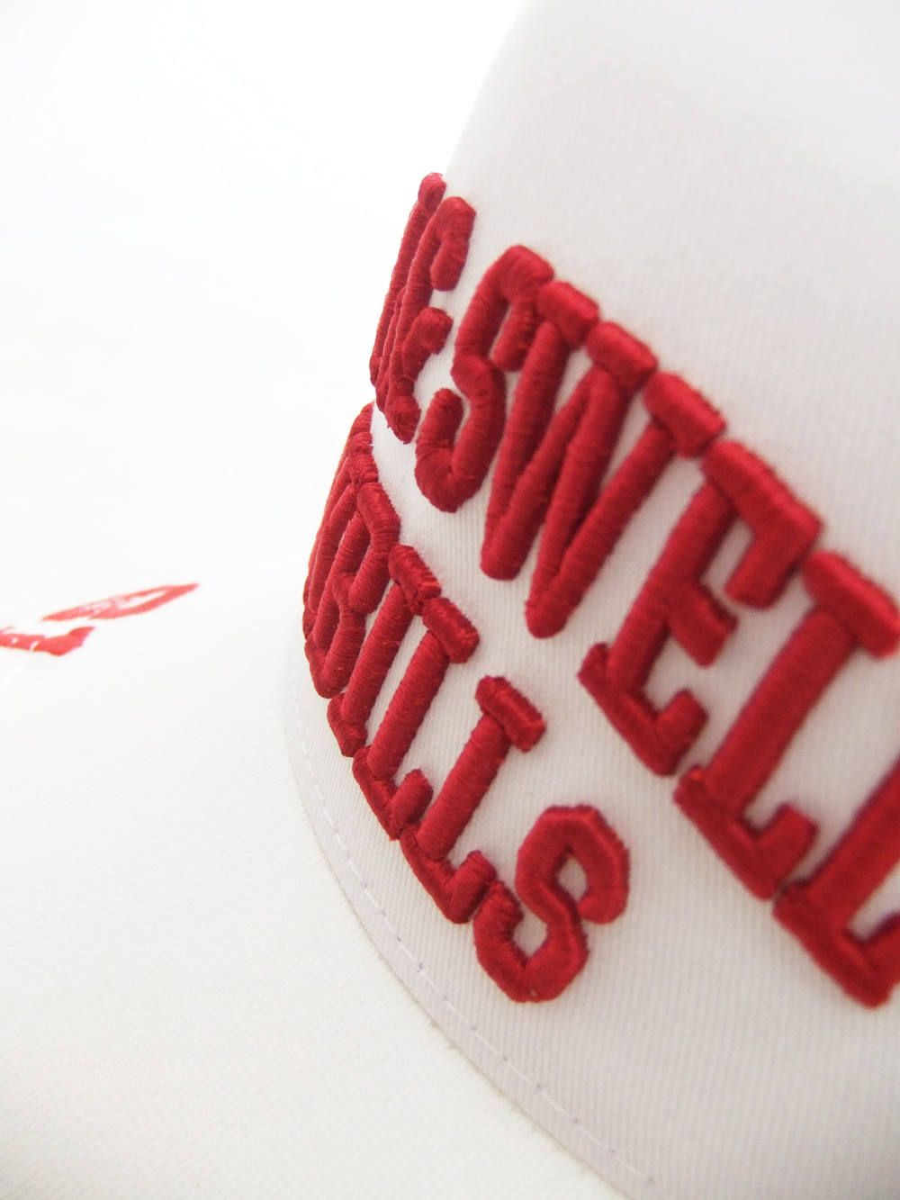 WORLD TOUR CAP  ( WHITE )  ロゴ入りキャップ