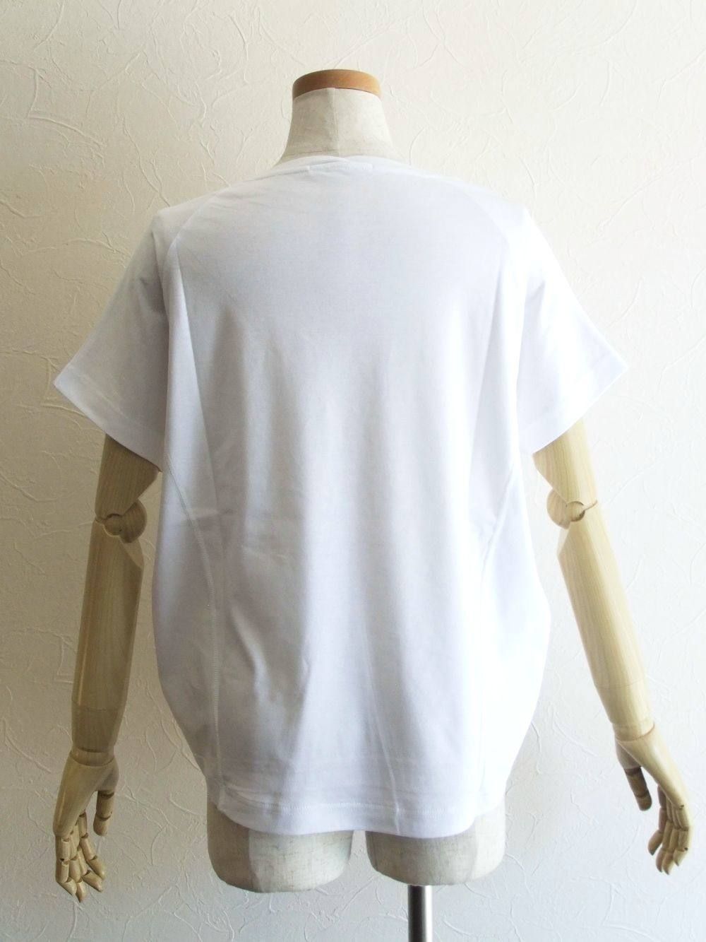 ラインプリント Tシャツ (パープルライン)  192025