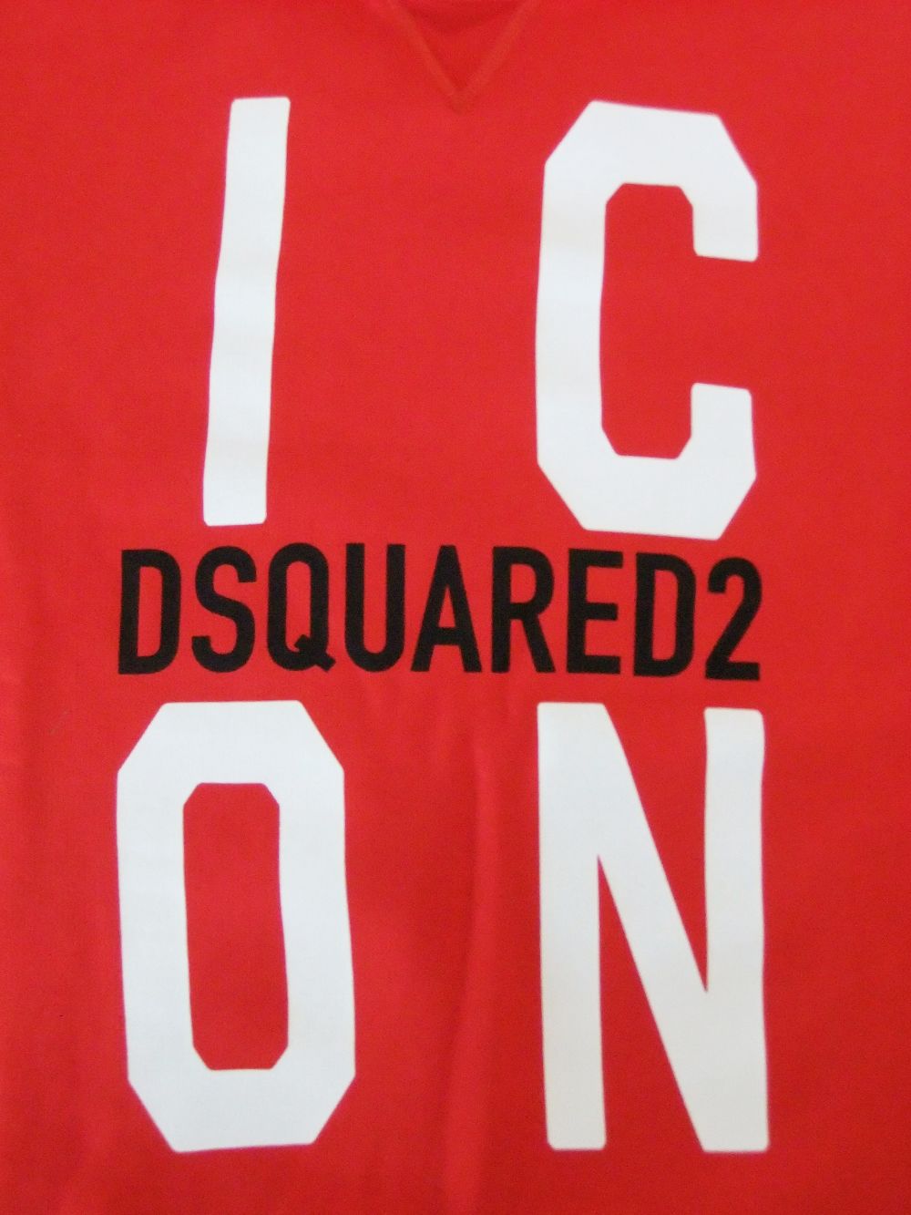 ICON HOODED SWEATSHIRT   スウェットプルオーバー   S79GU0034