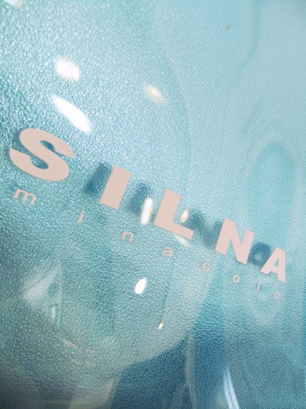 CATERINA  レザー BIG トートバッグ    SB1511