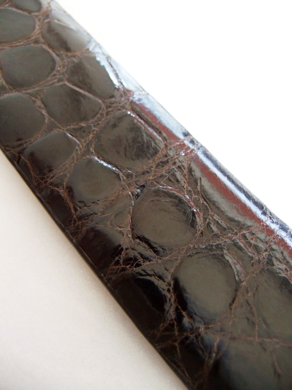 アリゲーター ALLIGATOR LEATHER BELT ( ブラウン )