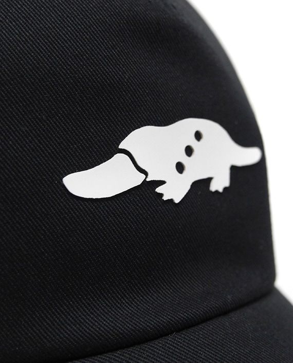 SOLID TOUR CAP (ブラック)   ロゴ入りキャップ    RSA-25002