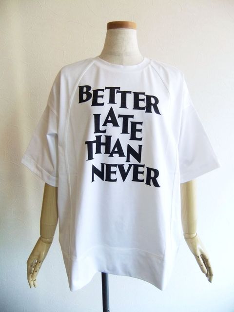 BALMAIN バルマン フロッキーフロントロゴプリントクルーネック  