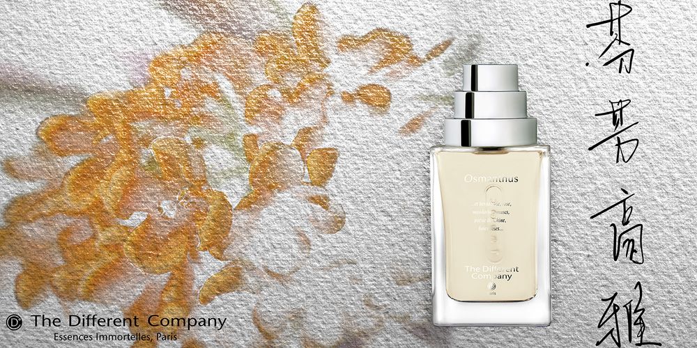 New Brand The Different Company 香水界の オートクチュール を纏う Acacia Onlinestore