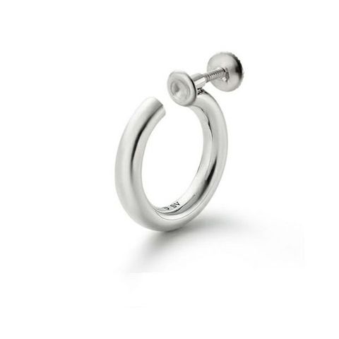【お取り寄せ注文可能】Eternal Earring_L(SILVER)