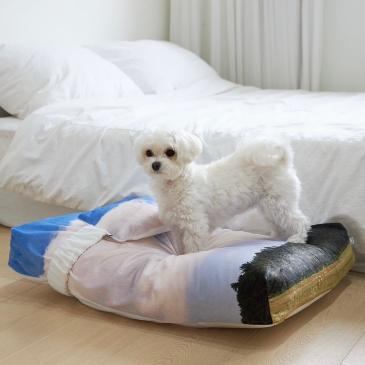 【残り一点】Jeju Landscape Pet Cushion
