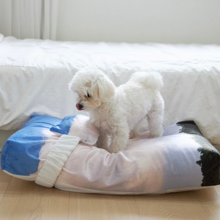 【残り一点】Jeju Landscape Pet Cushion