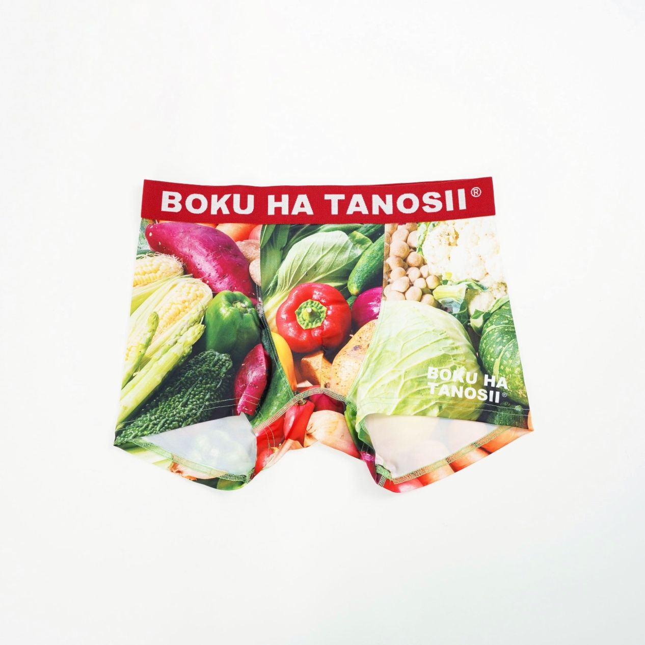 【残り一点】Boku Tano Boxer(HEALTHY PHOTO)