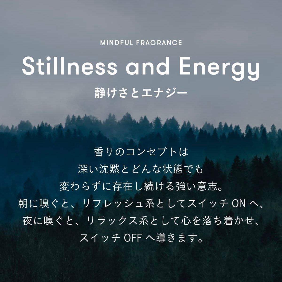 【残りわずか】マルチベネフィットオイル 50ml(STILLNESS AND ENERGY)