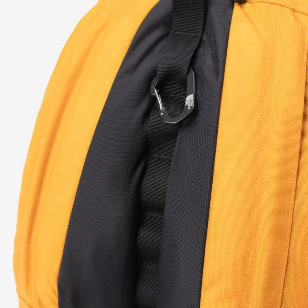 【残り一点】Kinkajou