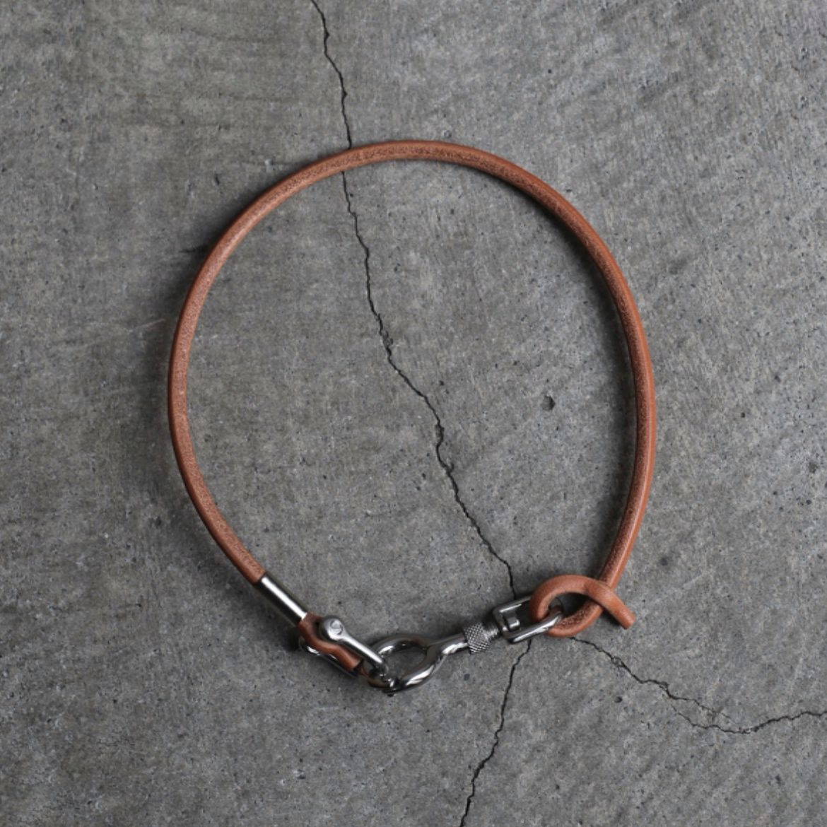 Ed Robert Judson × Topologie Coil アタッチ
