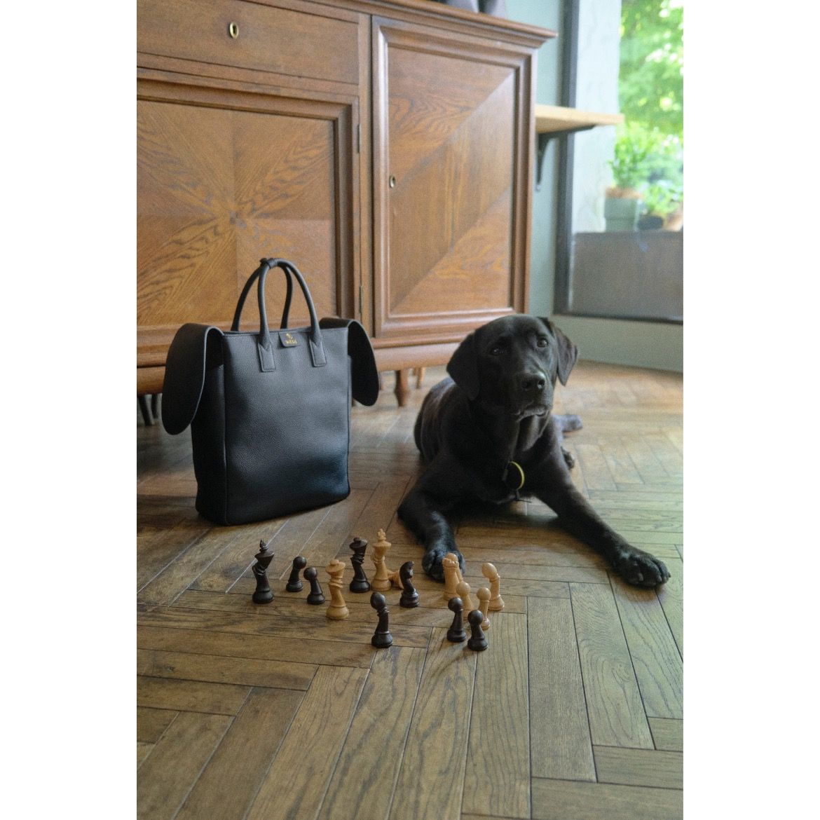 【再販売通知受付可能】Element 29(INU)