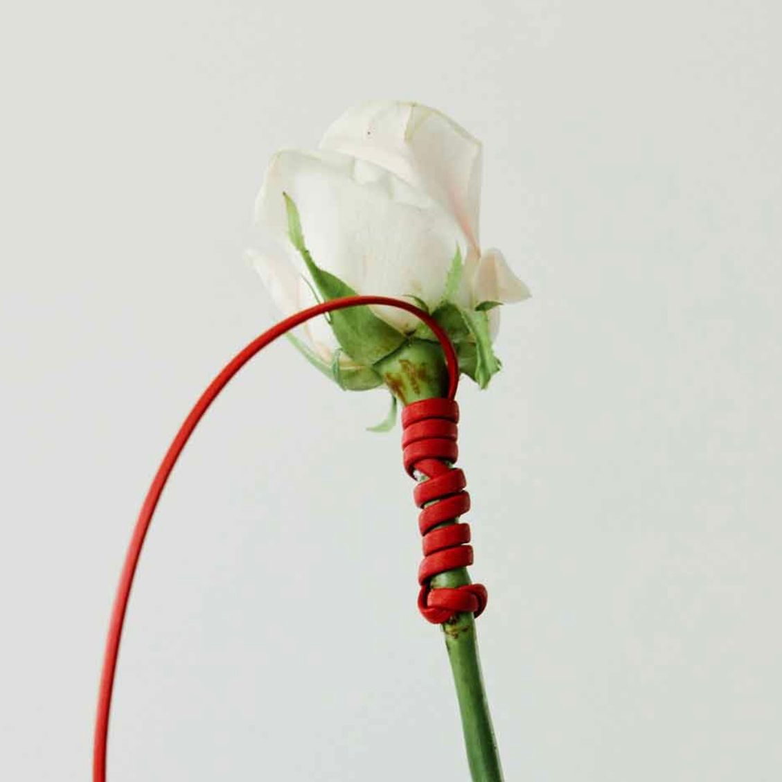 【残りわずか】Hair Perfume Mist(ROSE CUIR)