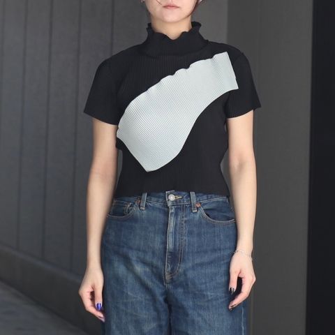 【残り一点】Todo Wave Tiny Top Short Sleeve Highneck