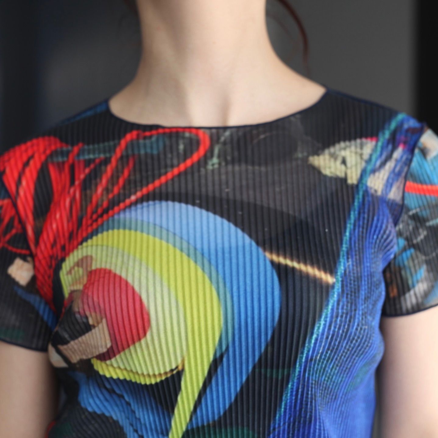 【残り一点】Sheer Graphic Tiny Top